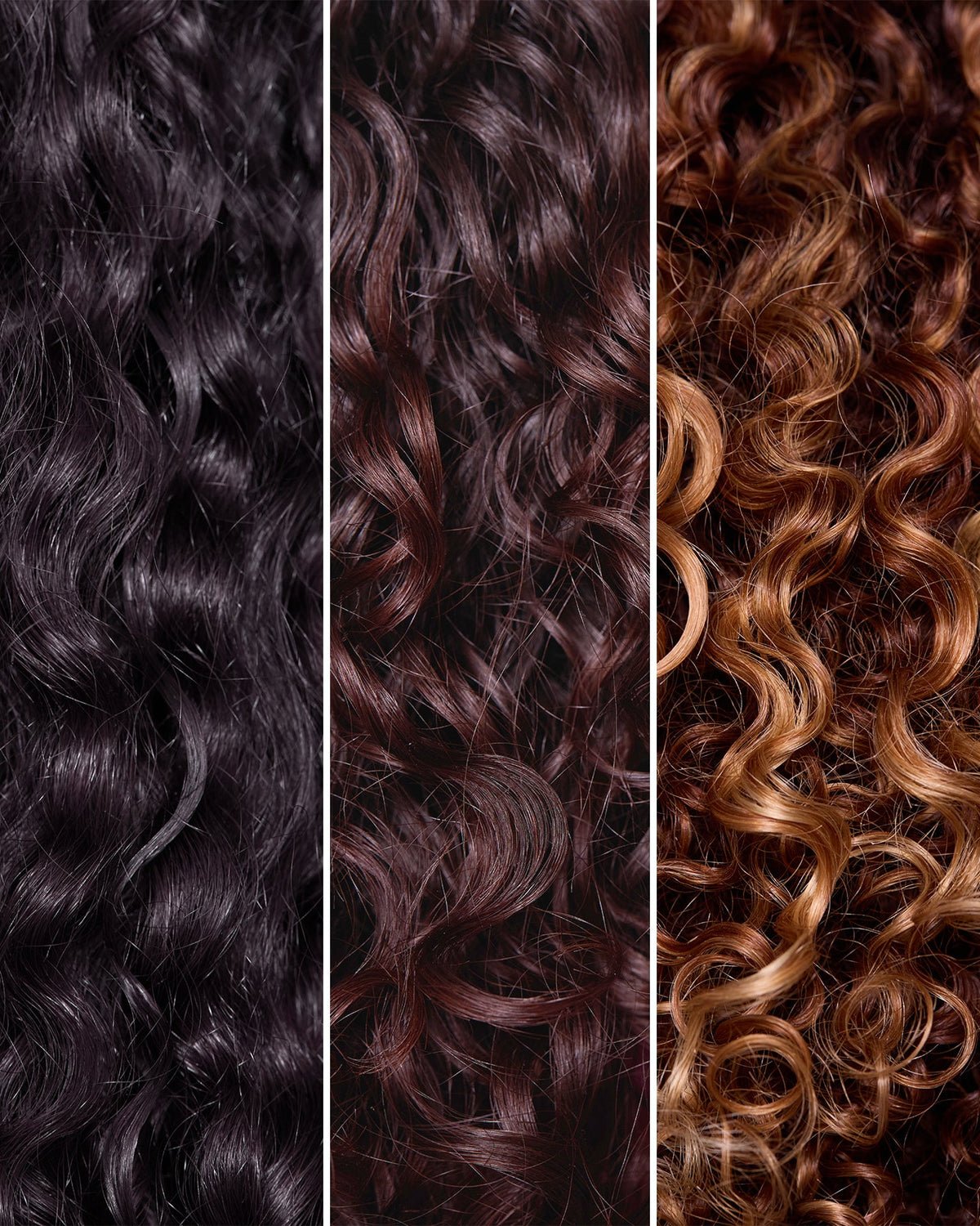 Three sections of curly hair in different colors: black, brown, and blonde.